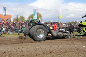 IMG 8783