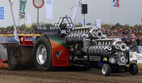 IMG 9904